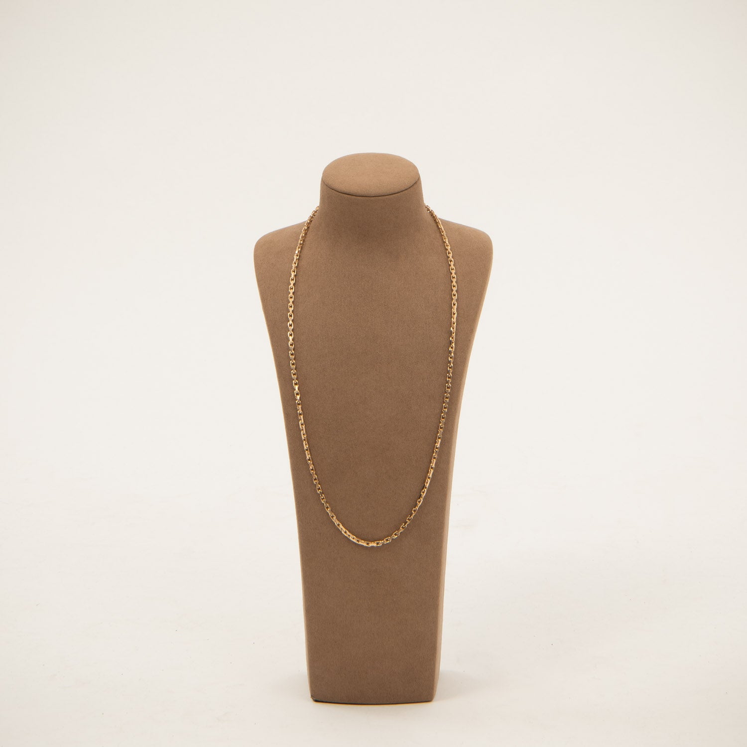 DETAIL236556
