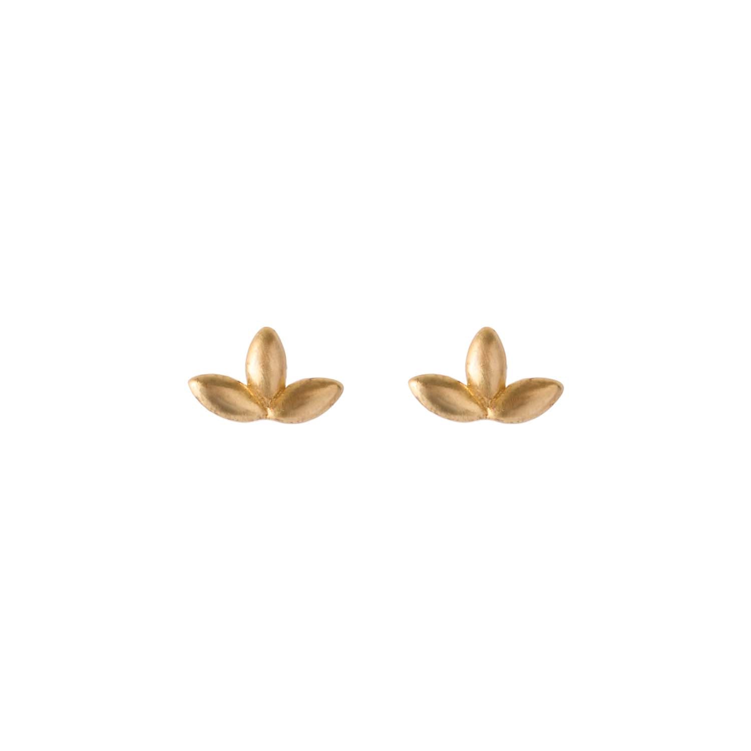 DETAIL215237